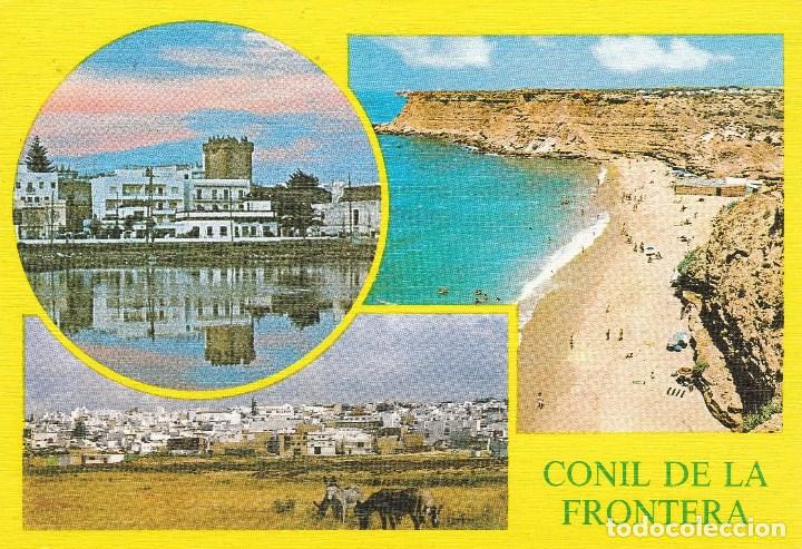 Postales: N&ordm; 28755 POSTAL CADIZ CONIL DE LA FRONTERA