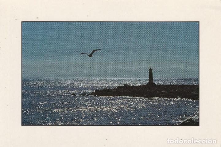 Postales: N&ordm; 28917 POSTAL MALAGA ESPIGON DEL PUERTO CENTENARIO DE ESTEPONA