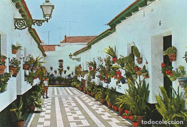 Postales: N&ordm; 28217 POSTAL CALLE TIPICA DEL PALO MALAGA
