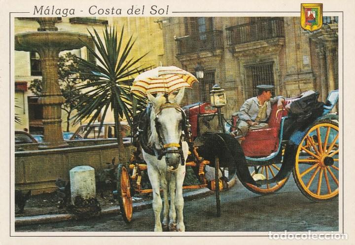Postales: N&ordm; 28225 POSTAL MALAGA PLAZA DEL OBISPO