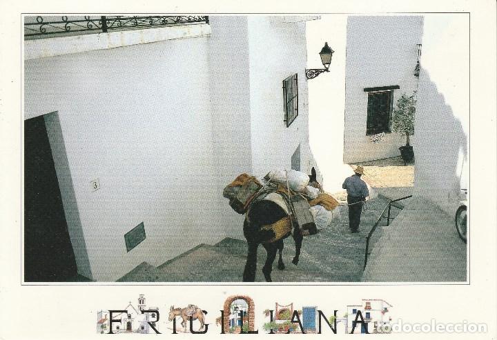Postales: N&ordm; 28230 POSTAL FRIGILIANA MALAGA