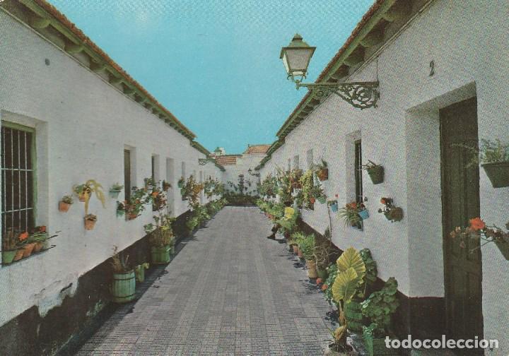 Postales: N&ordm; 28287 POSTAL MALAGA CALLE TIPICA