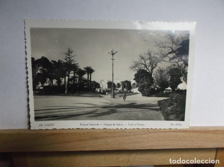 Postales: POSTAL DEL PARQUE GENOVES - CADIZ.