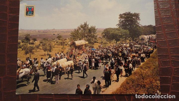 Postales: ANTIGUA POSTAL.ROMERIA DEL ROCIO.SEVILLA.DOMINGUEZ. N&ordm; 164