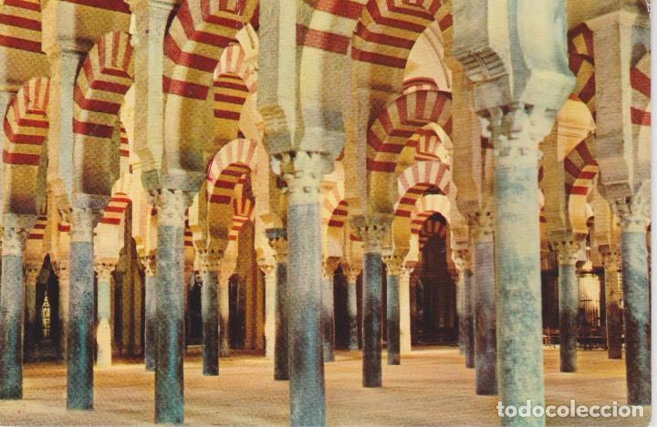 (1) CORDOBA. LABERINTO DE COLUMNAS
