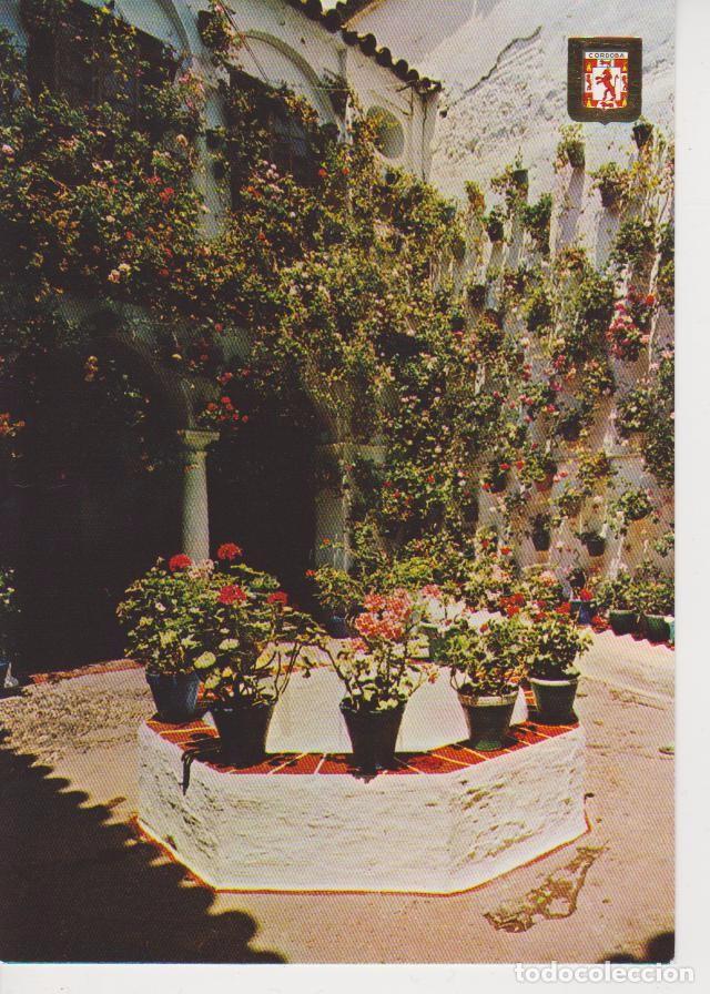 Postales: (976) CORDOBA. PATIO. PRIMER PREMIO. CALLE ALBUCACIS .. sin circular