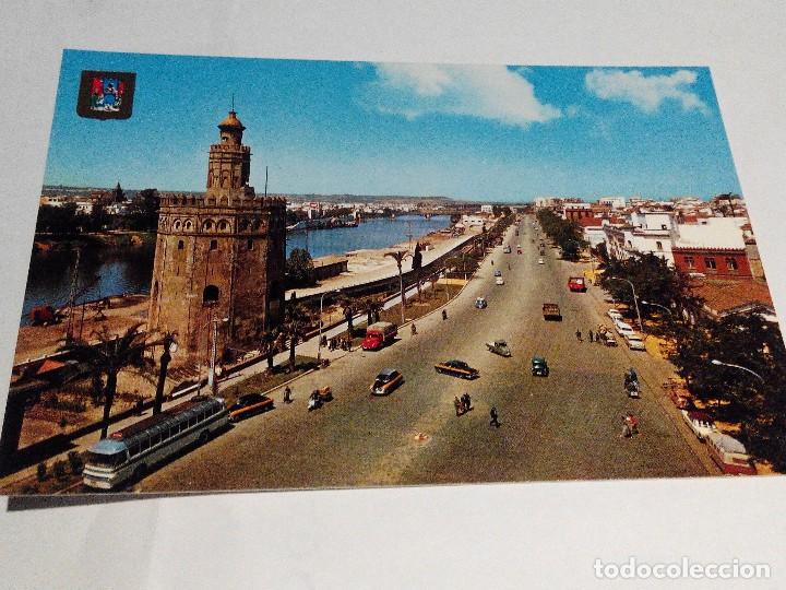 Postales: POSTAL ESPA&Ntilde;A SEVILLA- TORRE DEL ORO . ANOS 70.NUEVA