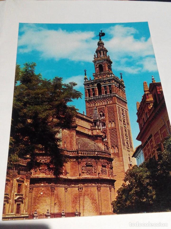 Postales: POSTAL ESPA&Ntilde;A SEVILLA- LA GIRALDA . ANOS 70.NUEVA