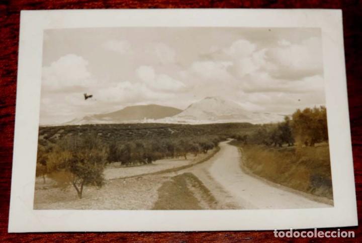 Postales: FOTOGRAFIA DE MARTOS, JAEN, A&Ntilde;O 1956, MIDE 10 X 7,5 CMS. POR EL REVERSO TIENE ESCRITO LA DESCRIPCION