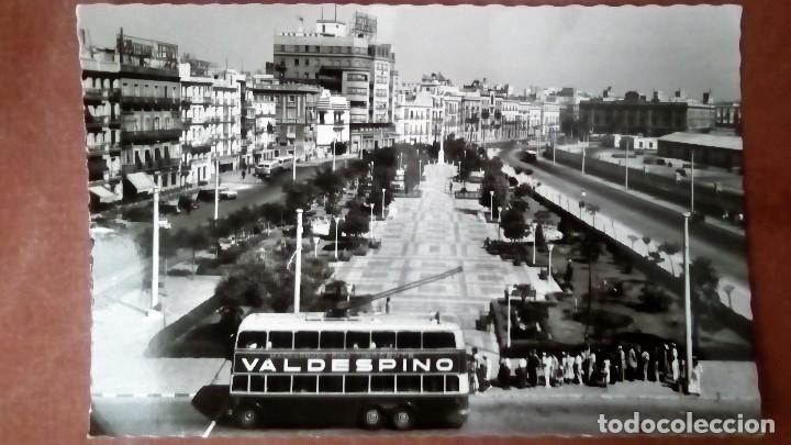 Postales: POSTAL CADIZ - AVD DE RAMON DE CARRANZA