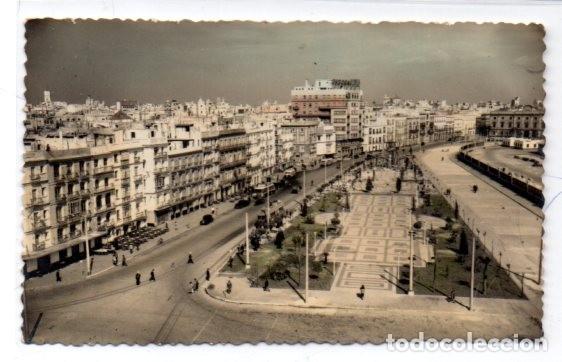 Cartes Postales: TARJETA POSTAL, CADIZ AVENIDA DE RAMON DE CARRANZA, EDICIONES SICILIA.