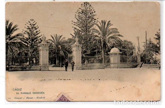 Cartoline: TARJETA POSTAL, CADIZ,EL PARQUE GENOVES, HAUSER Y MENET.