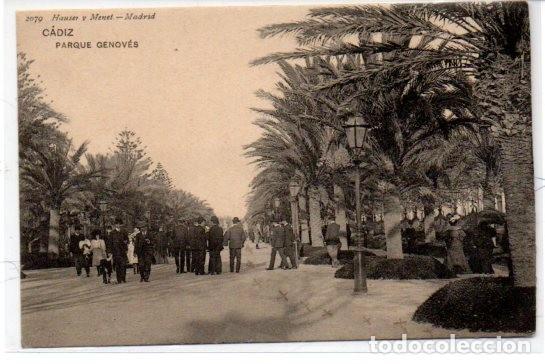 Postais: TARJETA POSTAL, CADIZ,PARQUE GENOVES. HAUSER Y MENET.