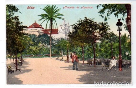 Postais: TARJETA POSTAL, CADIZ,ALAMEDA DE LA APODACA. PUGER & Co. MUNCHEN.