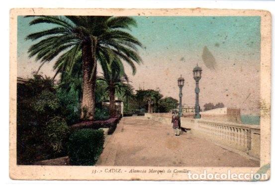 Postais: TARJETA POSTAL, CADIZ,ALAMEDA MARQUEZ DE COMILLAS .L.ROISIN.