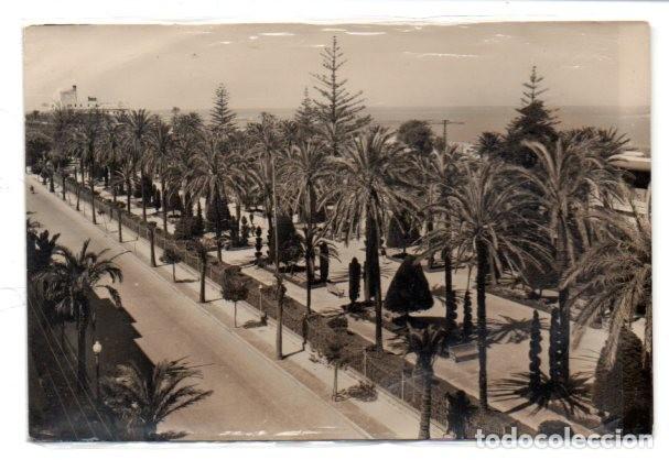 Postales: TARJETA POSTAL, CADIZ,PARQUE GENOVES,EDICIONES ARRIBAS.
