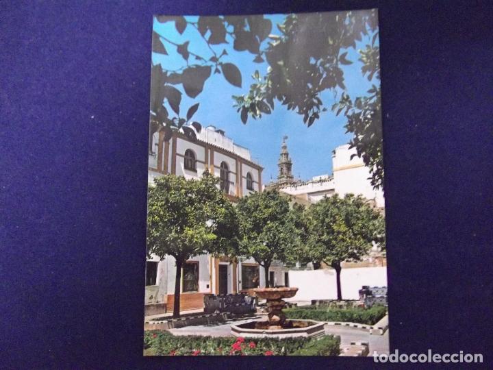 Postales: SEVILLA-V3-NO ESCRITA-N&ordm;236-PLAZA DE DO&Ntilde;A ELVIRA-BARRIO DE SANTA CRUZ