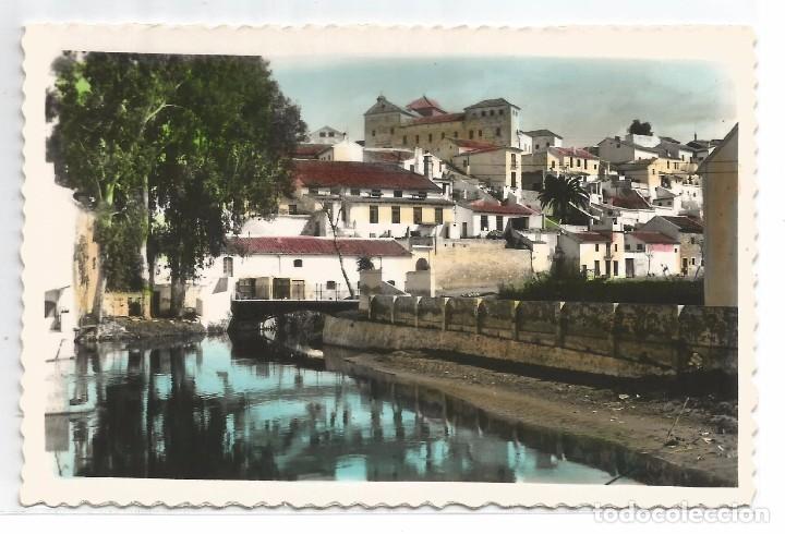 Postales: PUENTE GENIL .- VISTA PARCIAL .- N&ordm; 19 EDICIONES ARRIBAS