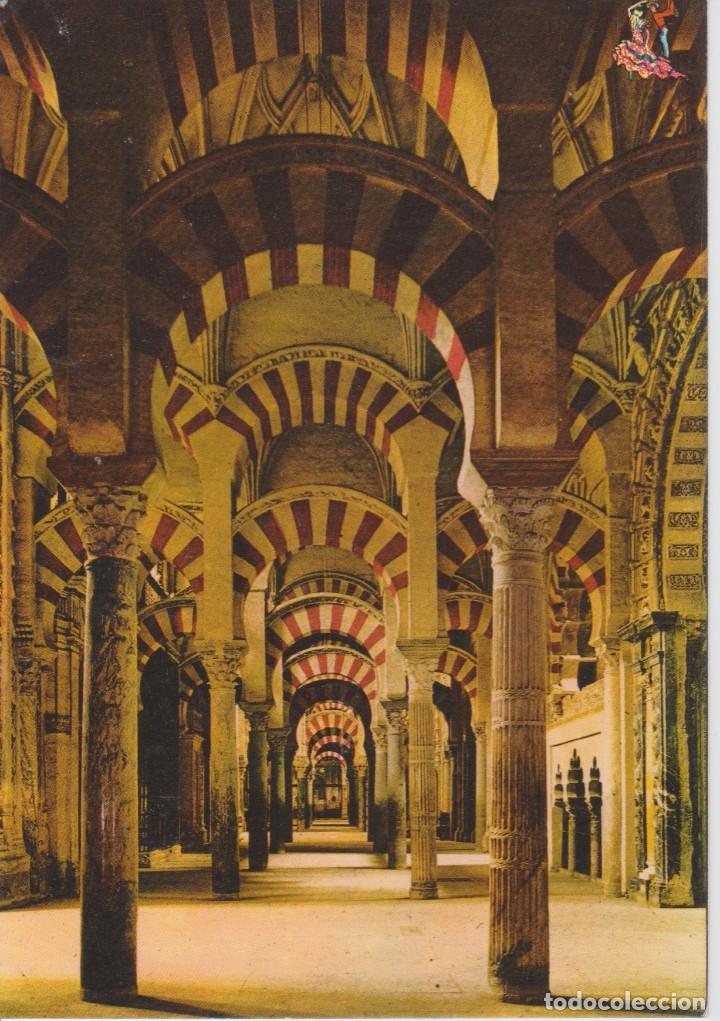 Postales: (100) CORDOBA. BOSQUE DE COLUMNAS