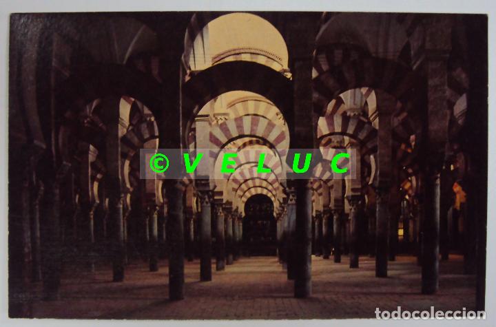 Postales: CORDOBA: MEZQUITA. LABERINTO DE COLUMNAS N&ordm; 2104 ED. ARRIBAS, A&Ntilde;OS 50. SIN CIRCULAR