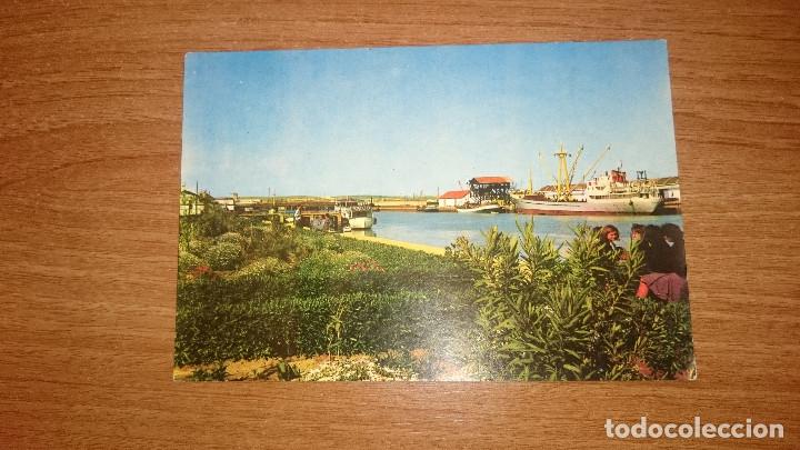 Postales: POSTAL MUELLE COMERCIAL PUERTO DE SANTA MARIA SIN CIRCULAR