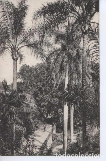 Postales: (99) MALAGA . JARDINES DE LA CONCEPCION