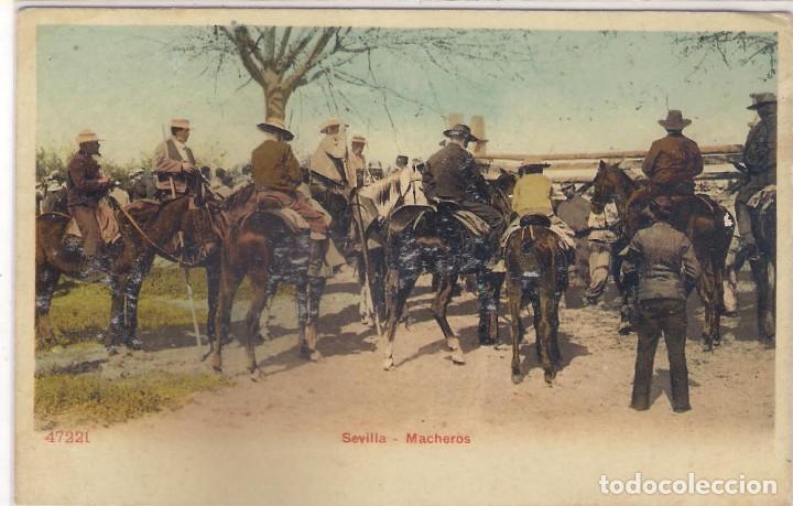 Postales: POSTAL DE SEVILLA  - MACHEROS - - Foto 1