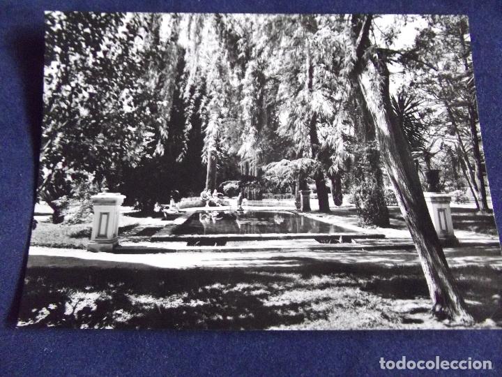 Cartes Postales: SEVILLA-V3-REALES ALCAZARES-N&ordm;16-ESTANQUE Y JARDINES-PATRIMONIO NACIONAL-FISA