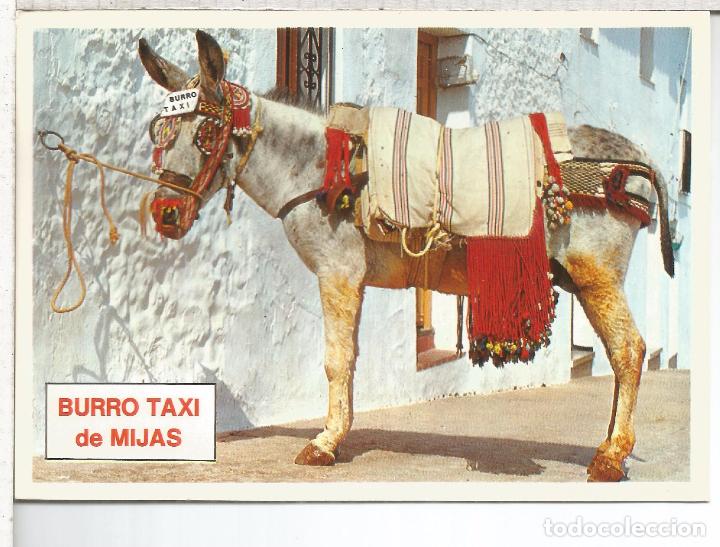 Postales: MALAGA MIJAS ESCRITA - Foto 1