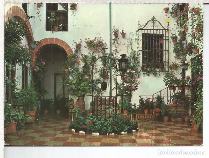 Postales: MALAGA MARBELLA ESCRITA - Foto 1