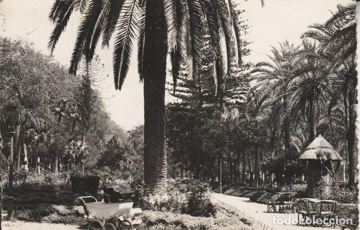 Postales: N&ordm; 30671 POSTAL MALAGA JARDINES DEL PARQUE