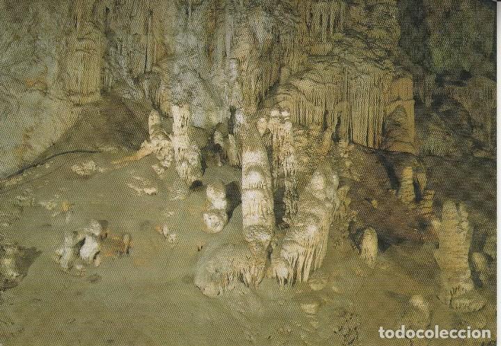 Postales: N&ordm; 30640 POSTAL CUEVA DE NERJA MALAGA SALA DE LOS FANTASMAS