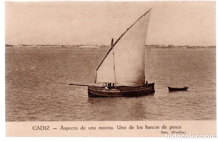 Cartoline: TARJETA POSTAL CADIZ, ASPECTO DE UNA MARINA,UNO DE LOS BARCOS DE PESCA,FOT .,MOVELLAN.