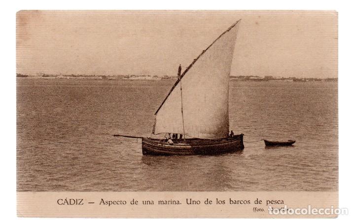Postkarten: TARJETA POSTAL ,CADIZ , ASPECTO DE UNA MARINA,UNO DE LOS BARCOS DE PESCA,FOT. MOVELLAN.