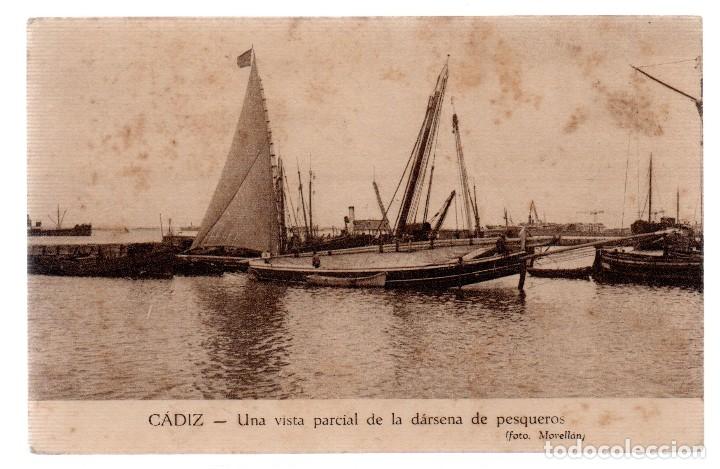 Postcards: TARJETA POSTAL ,CADIZ , UNA VISTA PARCIAL DE LA DARSENA DE PESQUEROS,FOT. MOVELLAN.