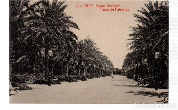 Postkarten: TARJETA POSTAL ,CADIZ ,PASEO GENOVES,PASEO DE PALMERAS. FOTOTIPIA THOMAS.