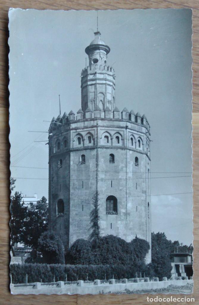 Postales: SEVILLA - TORRE DEL ORO - Foto 1