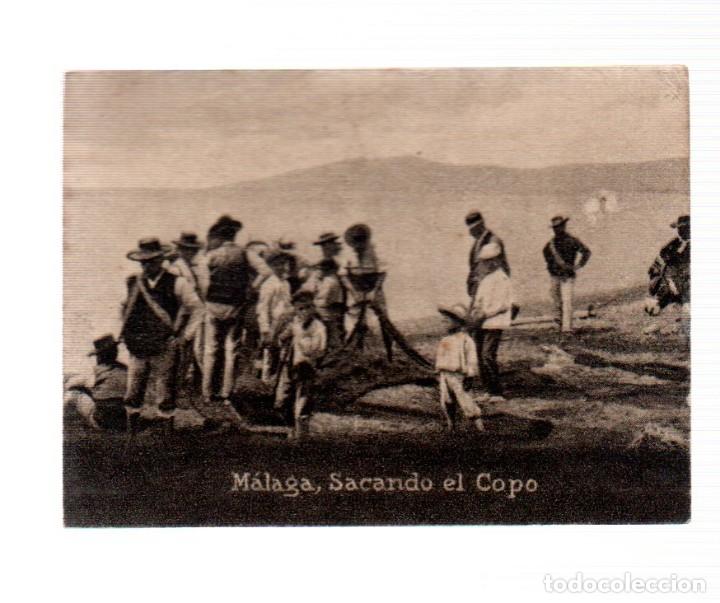 Postales: POSTAL ORIGINAL DECADA DE LOS 30.MALAGA,SACANDO EL COPO,No 832, VER TAMA&Ntilde;O Y EXPLICACION.