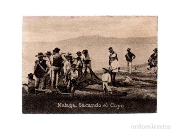 Postales: POSTAL ORIGINAL DECADA DE LOS 30.MALAGA,SACANDO EL COPO,No832. VER TAMA&Ntilde;O Y EXPLICACION.
