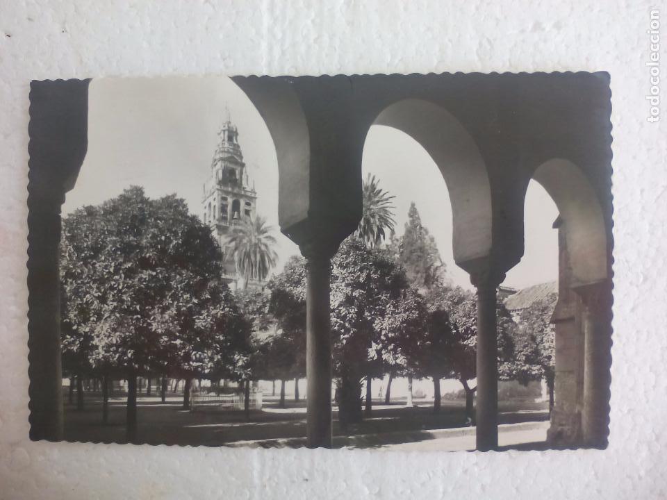 Postales: Tarjeta postal Cordoba. n&ordm; 23. Mezquita Catedral. Post Card
