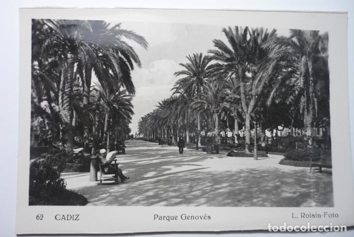 Postales: postal cadiz - parque genoves foto roisin--cm