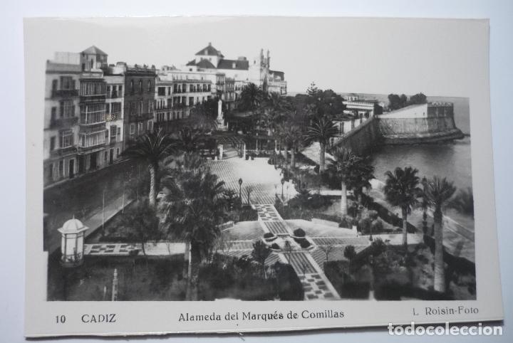 Postales: postal cadiz -alameda marques comillas--foto roisin  cm