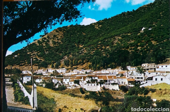 Postales: POSTAL DE MIJAS. M&Aacute;LAGA - Foto 1