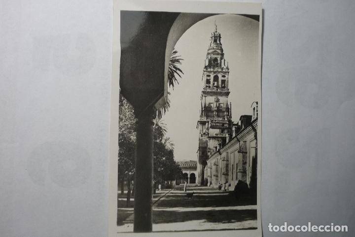 Postales: postal cordoba - patio de los naranjos y torre de la catedral cm