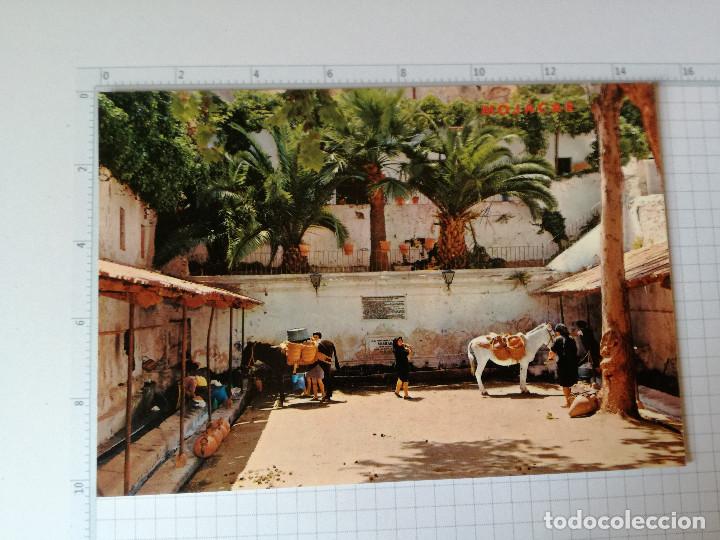 Postales: POSTAL N&ordm; 43 - ALMERIA - MOJACAR, LA FUENTE ARABE - ED. ROSSELL 1971