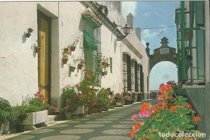 Postales: Postal Puerto Real.Cadiz.Callejon del Arco.