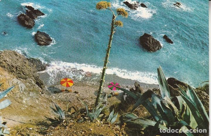 Postales: N&ordm; 2917 POSTAL COSTA DEL SOL RINCON MALAGA