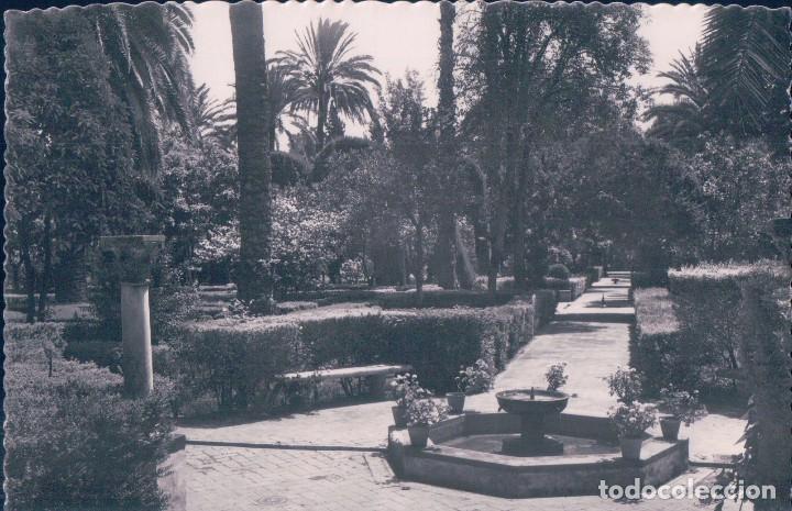 Cartoline: POSTAL SEVILLA 188 - REALES ALCAZARES - JARDINES - GARRABELLA