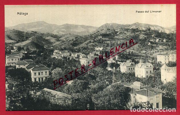 Postales: POSTAL MALAGA , PASEO DEL LIMONAR , ORIGINAL , P85926