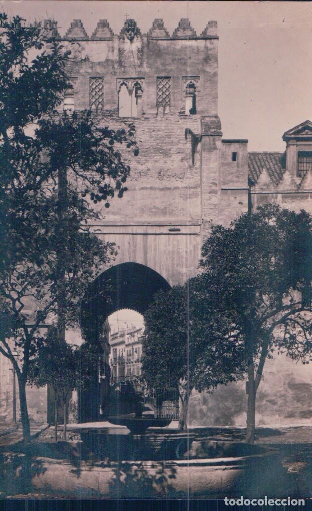 Postcards: postal fotografica de sevilla - puerta del lagarto desde el patio naranjos +++++